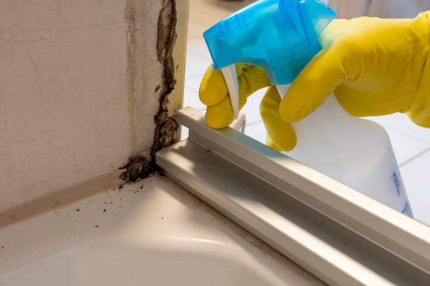 Best Mold Removal Process  in Granite Bay, CA