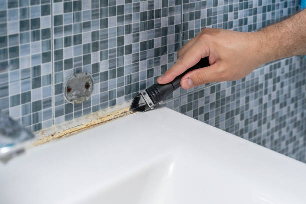 Best Attic Mold Removal  in Granite Bay, CA
