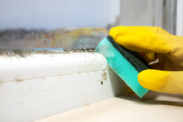 Crawl Space Mold Removal in Granite Bay, CA