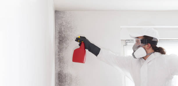 Best Certified Mold Removal  in Granite Bay, CA