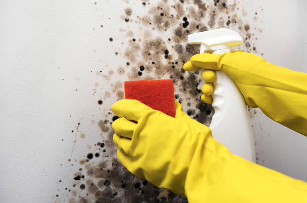 Best Mold Testing  in Granite Bay, CA