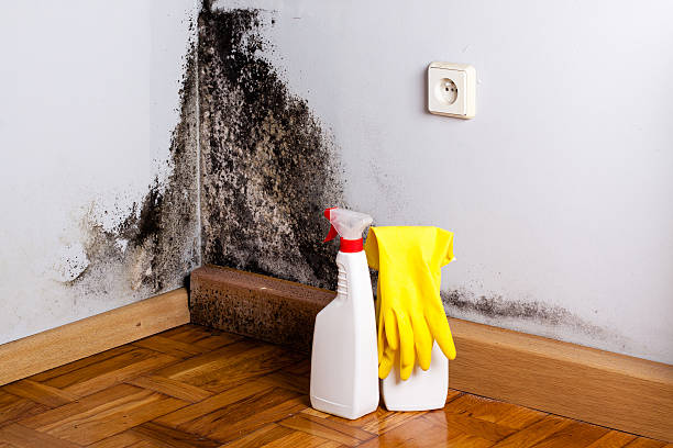 Best Mold Testing  in Granite Bay, CA