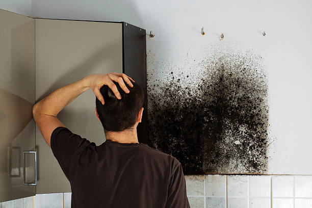 Best Residential Mold Removal  in Granite Bay, CA