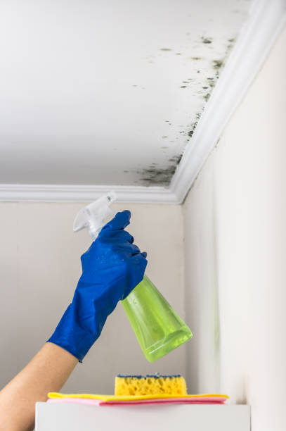 Best Mold Testing  in Granite Bay, CA